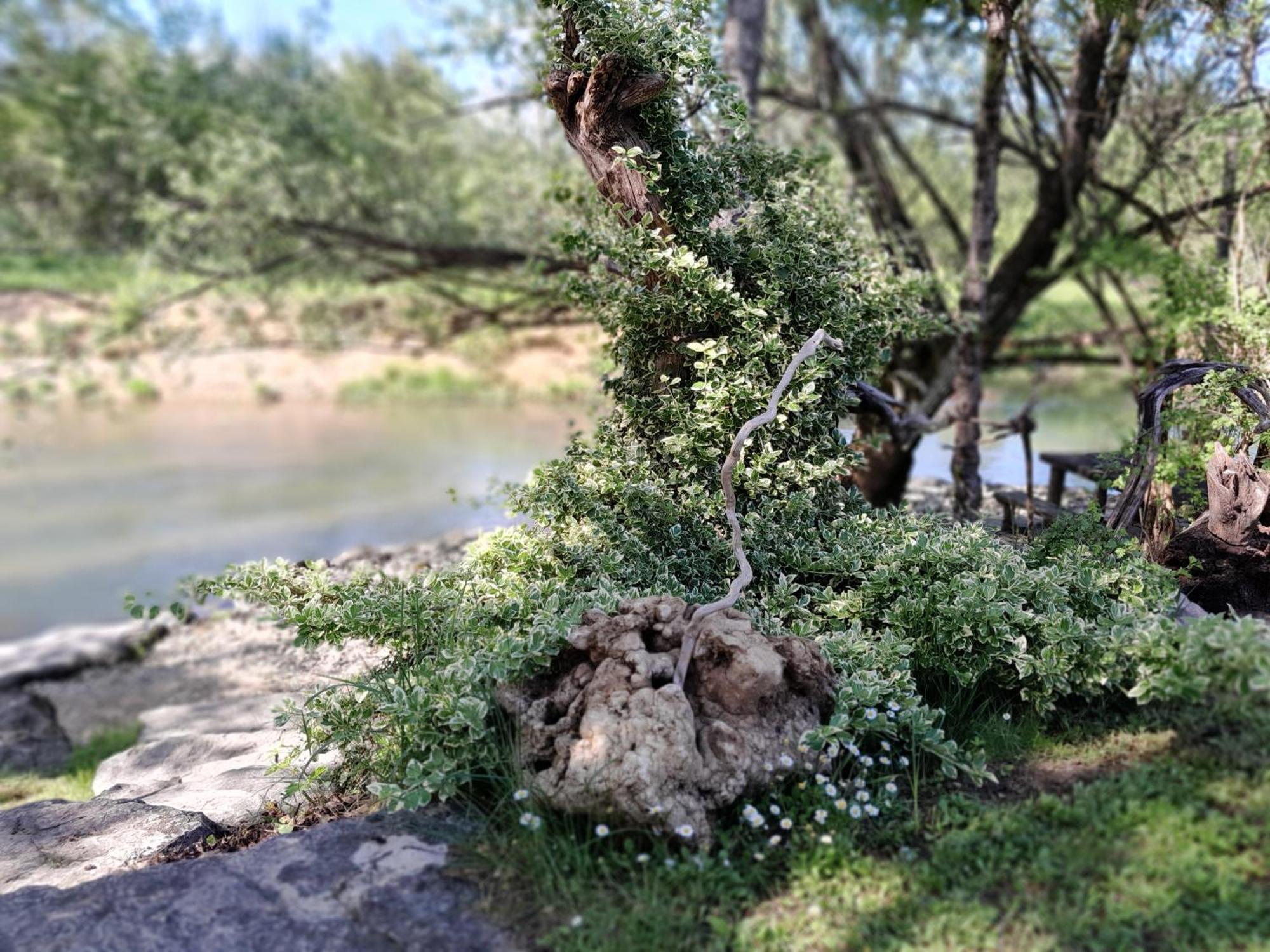 River House - Rijecna Idila Dom wakacyjny Cazin